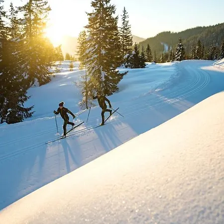 Tressdorfer Alm Penzion Sonnenalpe Nassfeld