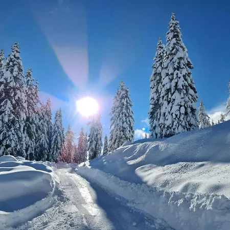 Tressdorfer Alm Sonnenalpe Nassfeld