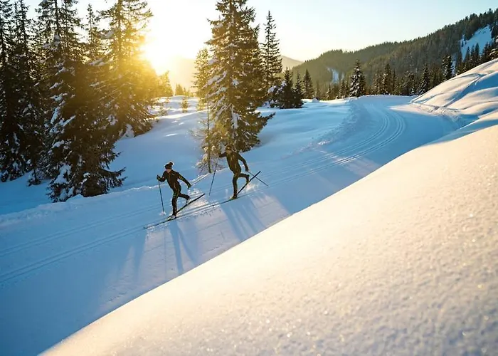 Tressdorfer Alm Guest house Sonnenalpe Nassfeld