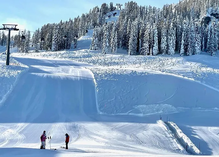Pensjonat Tressdorfer Alm 2*