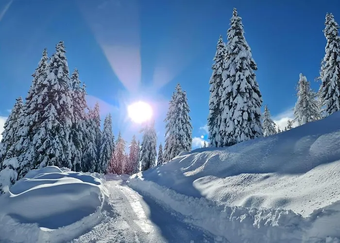 Tressdorfer Alm Sonnenalpe Nassfeld